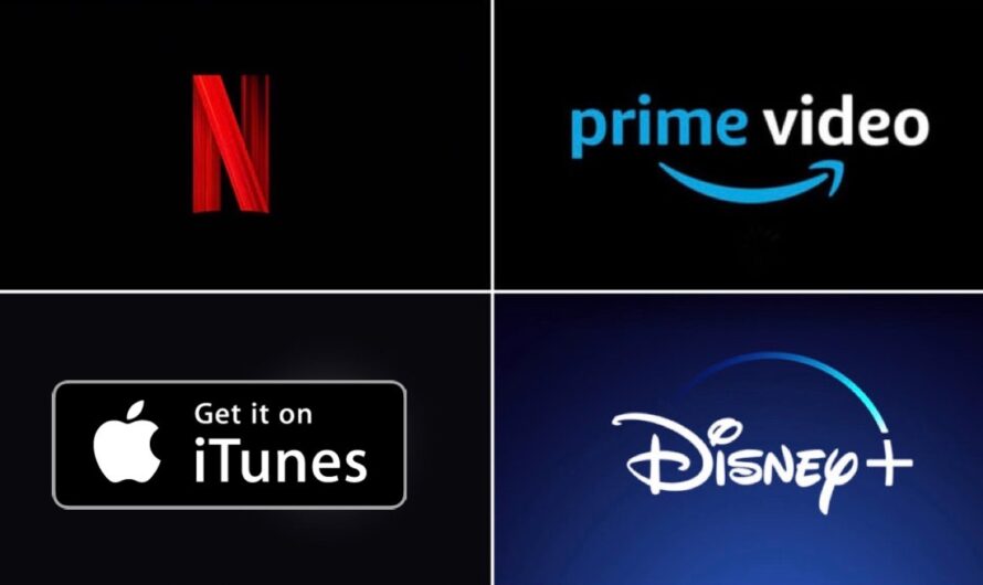 Premières conventions avec Netflix, Disney+, Amazon, 250M€ attendus, part du lion pour la fiction, flux inclus